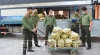 ĐTN Công an tỉnh chung tay hỗ trợ tiêu thụ hơn 5 tấn cam Hà Giang