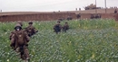 Thuốc phiện – nguồn cơn thất bại của Mỹ ở Afghanistan