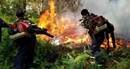 Hàng chục cảnh sát nỗ lực dập tắt vụ cháy rừng thông
